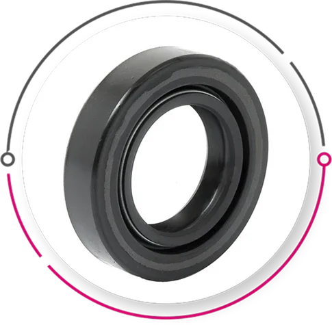 Lip Seals